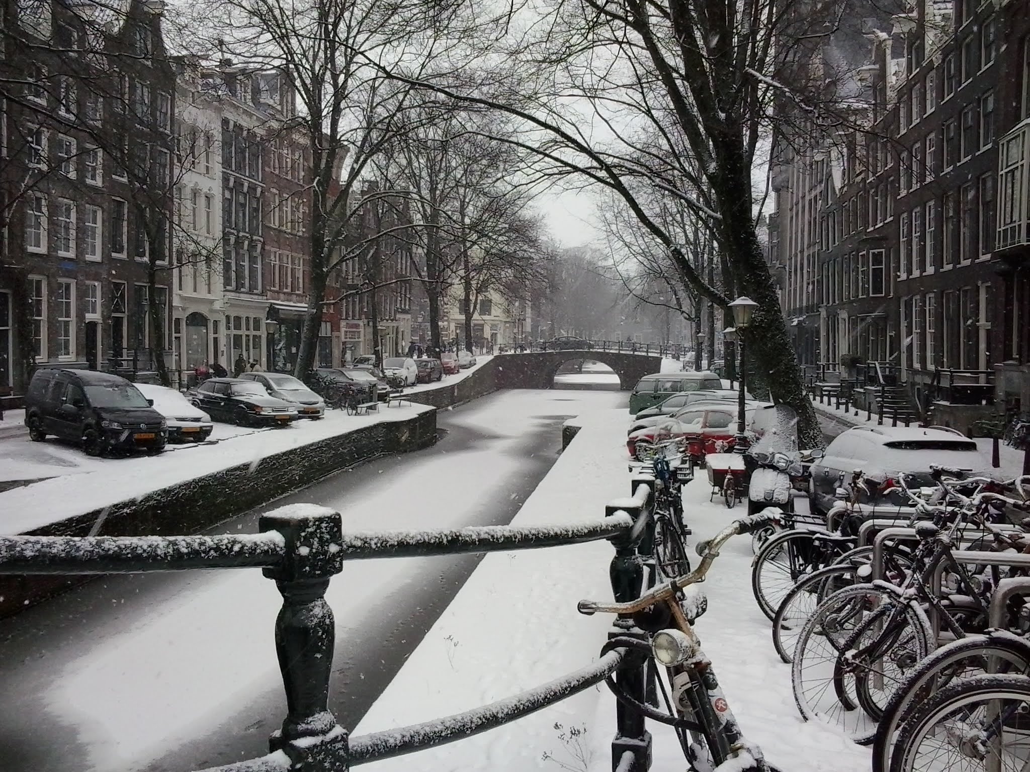 Amsterdam Jan 2013. Canals frozen